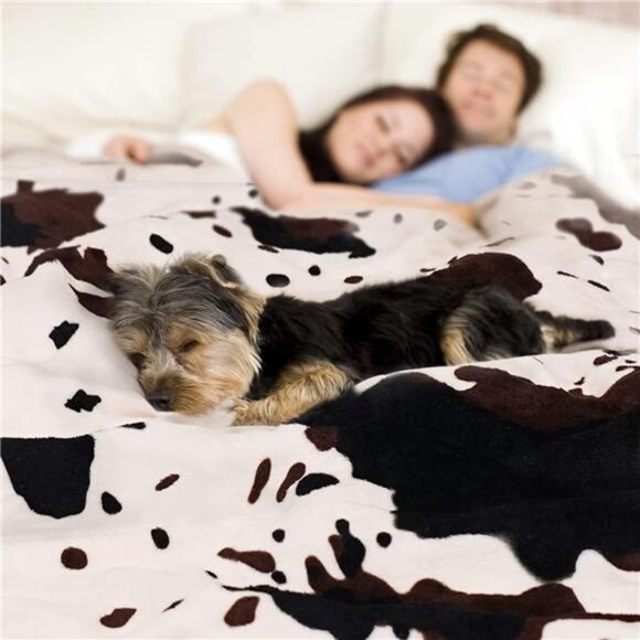 Cow Print Blanket Animal Brown Black Milky White Faux Fur Throw Blankets Western - Picture 3 of 7